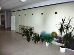 Trockenbau, Innenausbau, Installation von Glastrennwänden für die Physiotherapie in Ebersbach