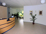 Trockenbau, Innenausbau, Installation von Glastrennwänden für die Physiotherapie in Ebersbach